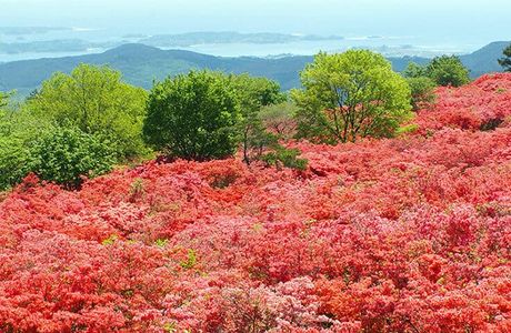 Mt. Tokusenjo