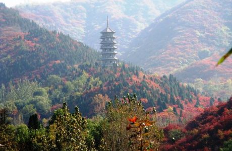 Red Leaf Valley