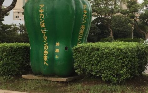 Minato Park 2
