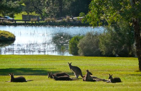 Kangaroo Valley Golf