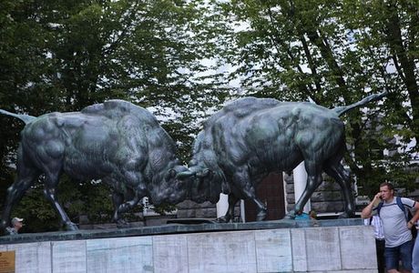 The Fighting Bulls
