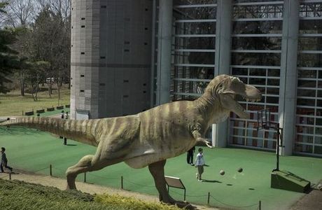 Wanpaku Park