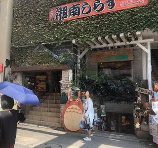 Donguri Republic Kamakura