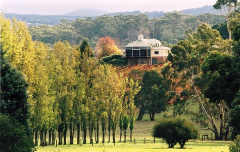 Hahndorf Hill Winery 1