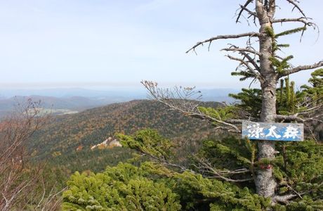 Gentaiwa Observation Deck