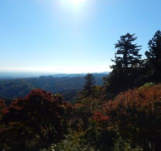 Mt. Takaosan Hiking Course