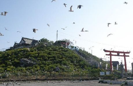 Kabushima Island