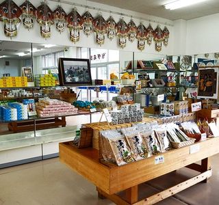 Ondeanse Youtree Souvenir Shop
