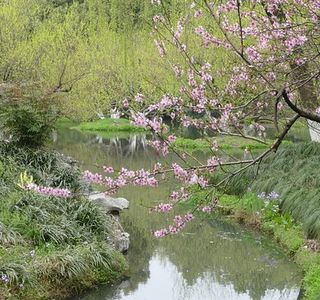 Liulang Wenying Park