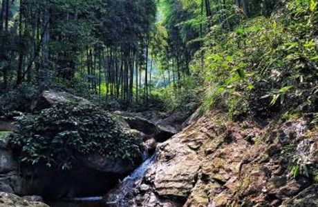 Hangzhou Shangougou Scenic Resort
