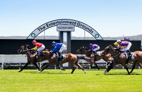 The Entertainment Grounds