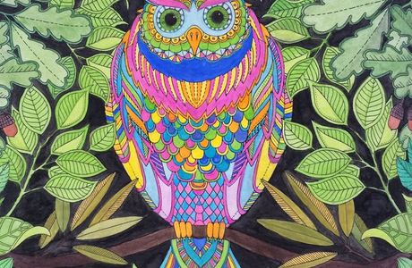 The Enchanted Owl