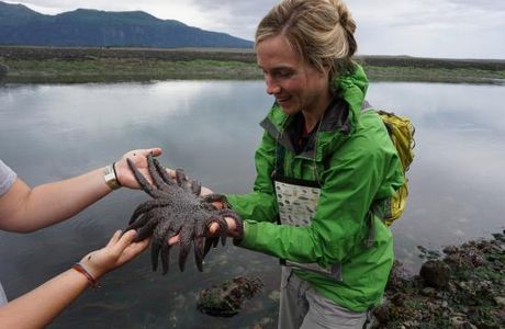 Center for Alaskan Coastal Studies