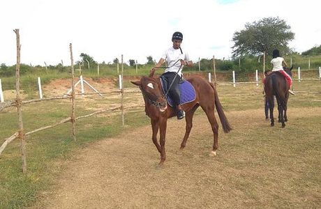 Stallions Valley Horse Riding Academy