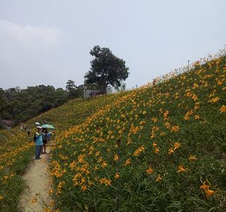 Huatan Hushan Mountain