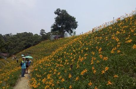 Huatan Hushan Mountain
