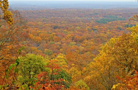 Clark State Forest