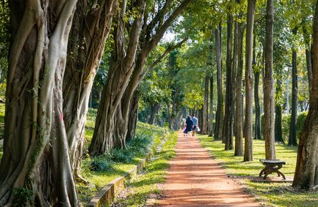 Shigabo Forest Park