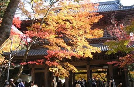 Eigenji Tourist Office