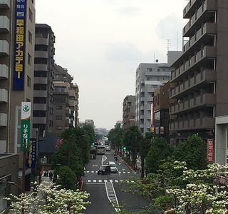 Fujimi Terrace