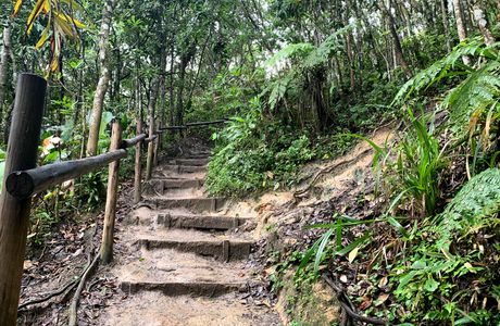 Kodomo Animal Nature Park Walking Path, Cross Country Course