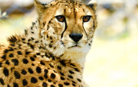 Tama Zoological Park 1