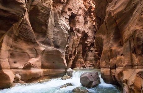 The Canyon (The Siq)