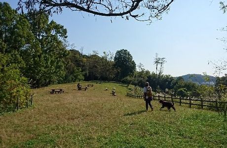 Oyamada Park