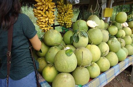 Lamnarai