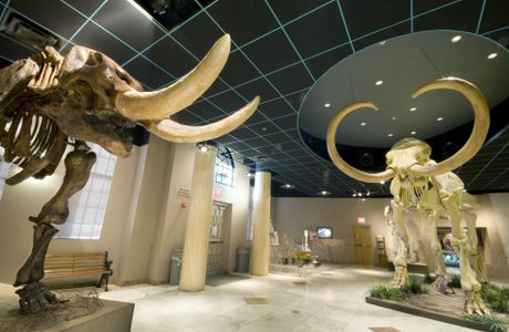 Arizona Museum of Natural History