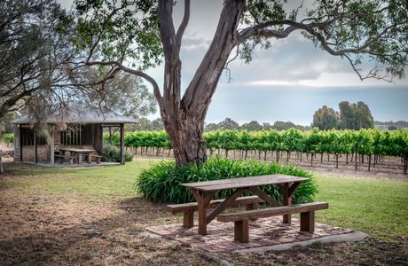 Shottesbrooke Vineyards