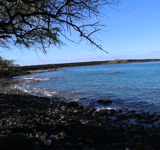 Ahihi-Kinau Natural Area Reserve