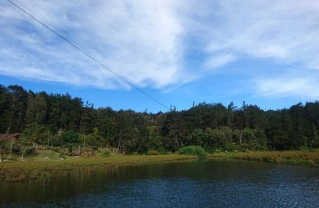 Parque Piedras Blancas