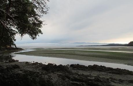 Witty's Lagoon Regional Park