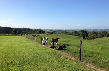 Millaa Millaa Golf Club