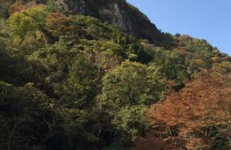 Mikado Gorge