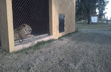 Zoologico de san carlos