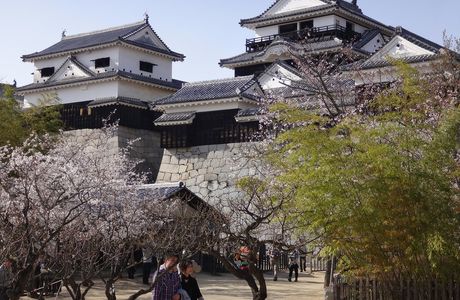 Matsuyama CastleTenshu