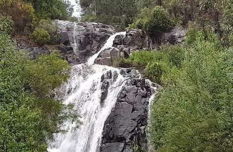 Marysville State Forest