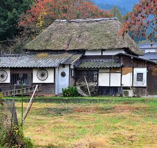 Wax Tree Area of Yanagisaka Sone
