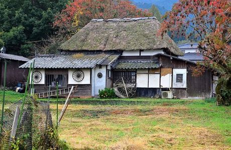 Wax Tree Area of Yanagisaka Sone