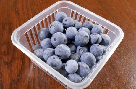 Blueberry no Mura