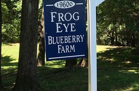 Frog Eye Farm