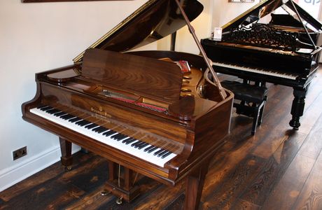 Grand Piano-Wave, Baltijos Banga