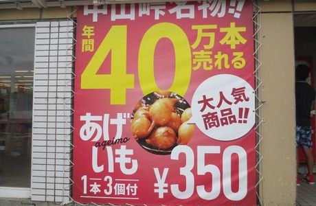 Michi-no-Eki Boyonakayama