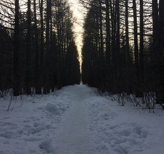 Dendrologic Park