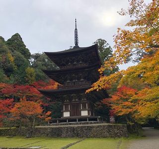 Saimyo-ji Temple 3 Storey Tower