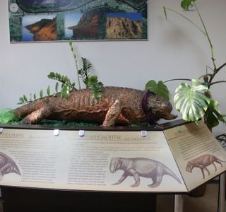 Vyatskiy Paleontologic Museum