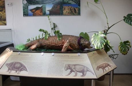 Vyatskiy Paleontologic Museum