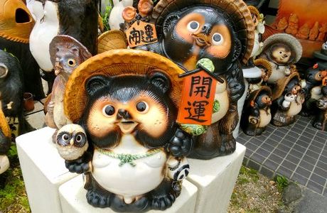 Tanukimura